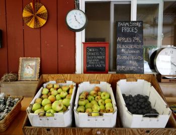 Roadside Farmstands Roadside Farmstands