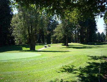 Golf Golf