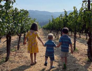 Kid Friendly Wineries Russian River Vacation Homes