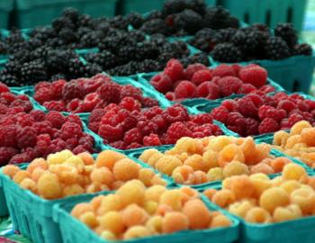 Farmers Markets Farmers Markets