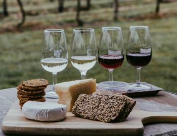 Go wine tasting! Wine Tasting