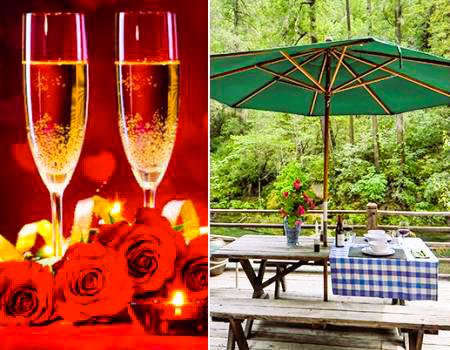 Sequoia Beach Dreamery's 25th Anniversary Special Offers