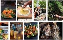 Relish Culinary Adventures