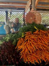 Roadside Farmstands