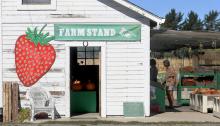 Roadside Farmstands
