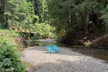 Have a seat in East Austin Creek.