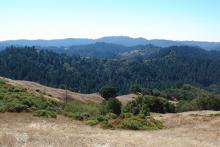 Historical Fort Ross on Hwy 1.