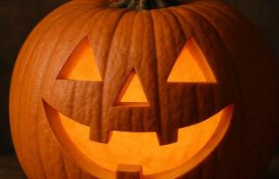 Pumpkin  Halloween at the Russian River