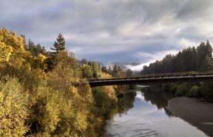 The Russian River misty late fall day 