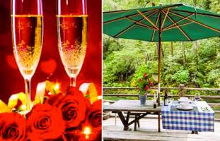 Sequoia Beach Dreamery's 25th Anniversary Special Offers