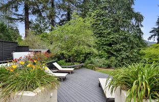 Private yard at Villa Tranquila 
